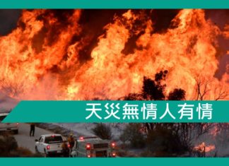 天災無情人有情