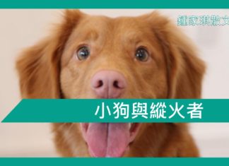 【勵志文章】小狗與縱火者