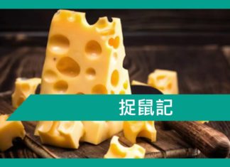 【勵志文章】捉鼠記