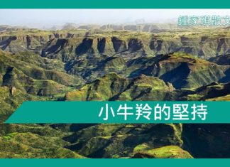 【勵志文章】小牛羚的堅持