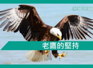【勵志文章】老鷹的堅持
