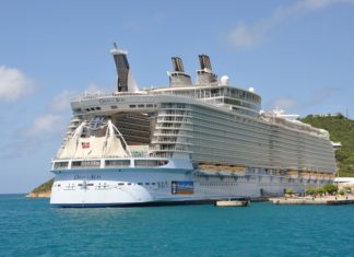 海洋綠洲號有一男子墜海