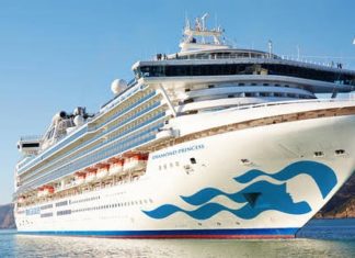 兩個可能你有興趣的關於鑽石公主號疫情資料