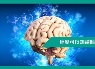 【心理文章】經歷可以訓練腦袋