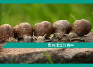 【勵志文章】一隻有理想的蝸牛