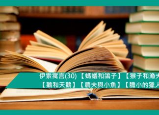 伊索寓言(30) 【螞蟻和鴿子】【猴子和漁夫】【鵝和天鵝】【農夫與小魚】【膽小的獵人】