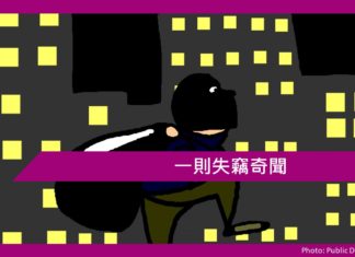 一則失竊奇聞