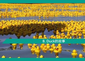 【B. Duck的故事】