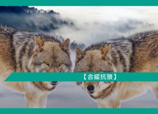 【勵志文章】合縱抗狼