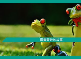 【勵志文章】兩隻青蛙的故事