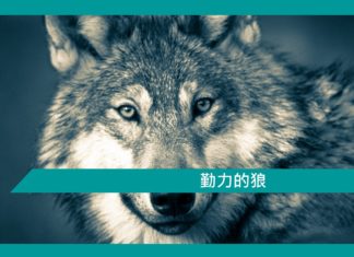 【勵志文章】勤力的狼