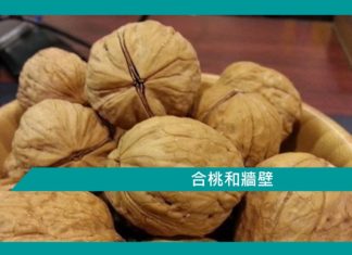 【勵志文章】合桃和牆壁