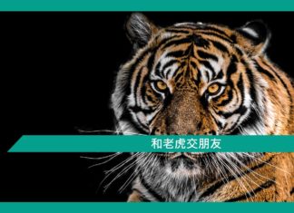 【勵志文章】和老虎交朋友