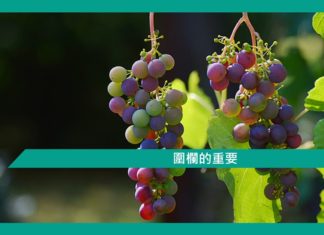 【勵志文章】圍欄的重要