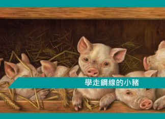 【勵志文章】學走鋼線的小豬