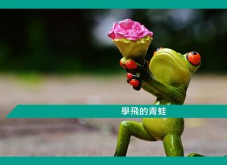 【勵志文章】學飛的青蛙