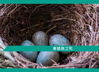 【勵志文章】寒號鳥之死