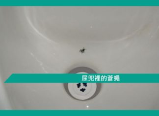 【尿兜裡的蒼蠅】