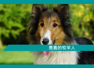 【勵志文章】愚蠢的牧羊人