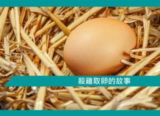 【勵志文章】殺雞取卵的故事
