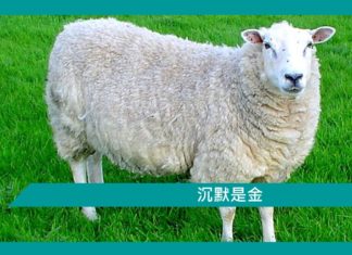 【勵志文章】沉默是金