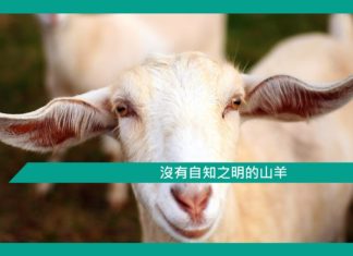 【勵志文章】沒有自知之明的山羊