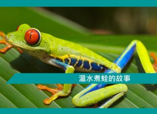 【勵志文章】溫水煮蛙的故事