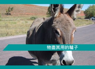 【勵志文章】物盡其用的驢子