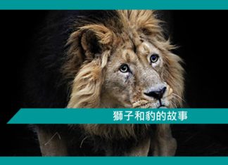 【勵志文章】獅子和豹的故事