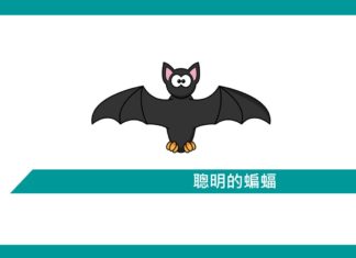 【勵志文章】聰明的蝙蝠
