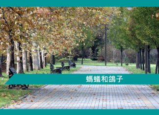 【勵志文章】螞蟻和鴿子