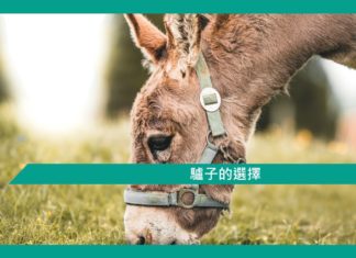 【勵志文章】驢子的選擇