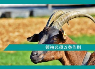 【勵志文章】領袖必須以身作則