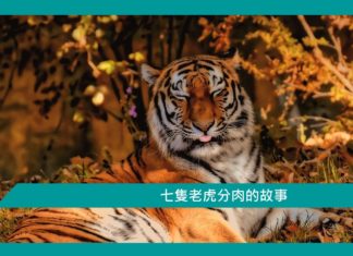 【勵志文章】七隻老虎分肉的故事