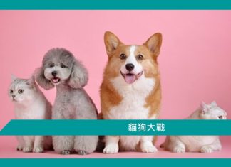 【勵志文章】貓狗大戰