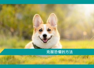 【心理文章】克服恐懼的方法