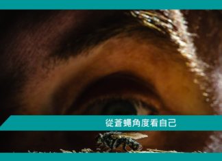 【心理文章】從蒼蠅角度看自己