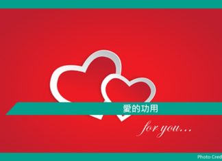 心理文章【愛的功用】