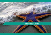 【拯救海星大行動】