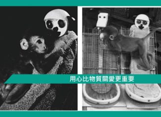 【心理文章】用心比物質關愛更重要