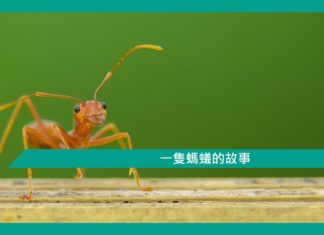 【勵志文章】一隻螞蟻的故事
