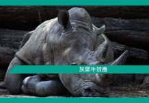 【灰犀牛效應】