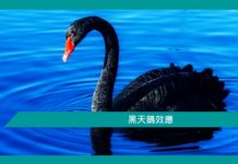 【黑天鵝效應】