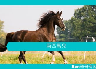 【勵志文章】兩匹馬兒