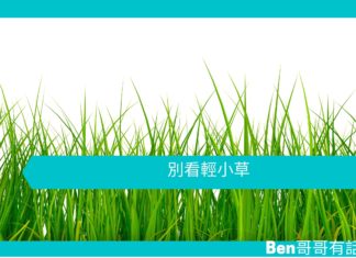 【勵志文章】別看輕小草