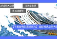 【不看後悔的震撼影片】當郵輪遇上特大風暴