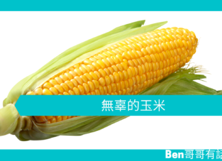 【勵志文章】無辜的玉米
