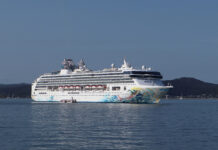 假如你符合以下資格,可以「免費」坐名勝世界壹號