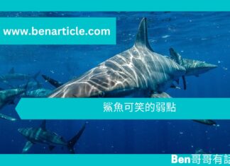 【勵志文章】鯊魚可笑的弱點