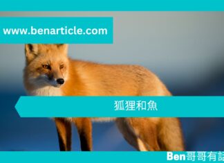 【勵志文章】狐狸和魚